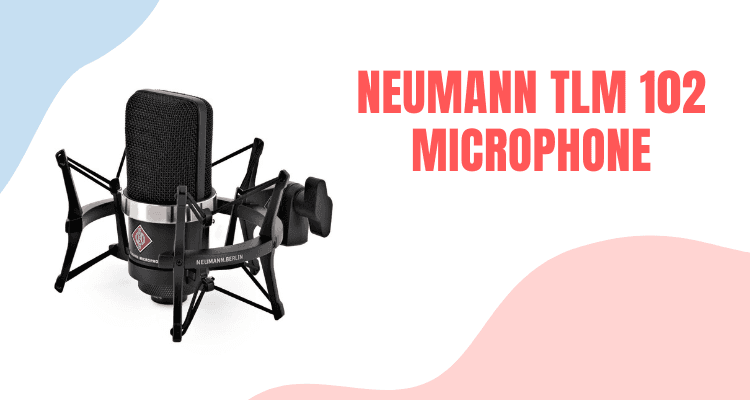 Neumann TLM 102 microphone
